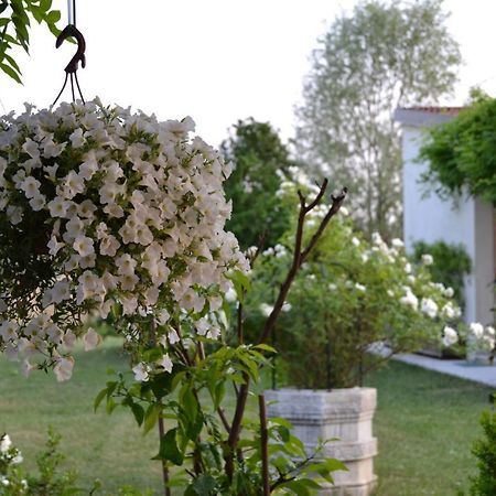 Two Elegant Depandance Βίλα Conscio Εξωτερικό φωτογραφία